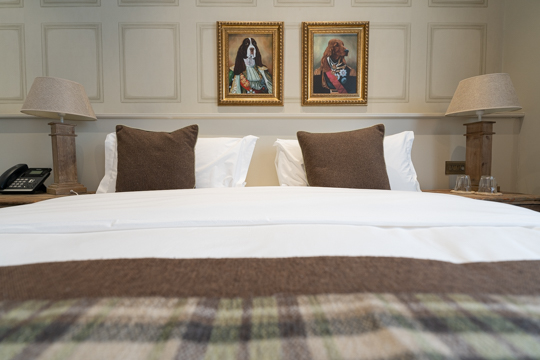 Chambre à la décoration anglaise
