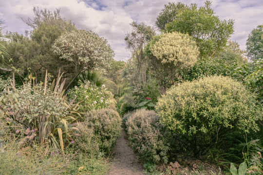 Visite en français du jardin de Mona réserve nationale de Corokia
